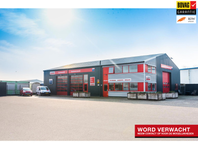 Volkswagen Polo 1.0 tsi life business