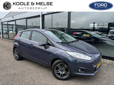 Ford Fiesta 1.0 ecoboost 100pk 5d s/s titanium, winterpakket