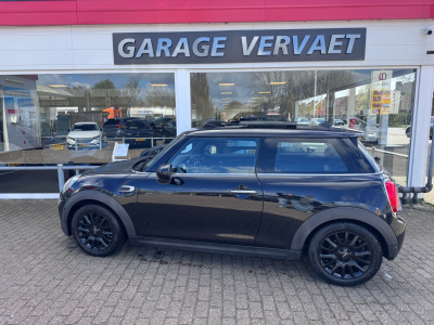 Mini Cooper mini 1.5 pepper serious business