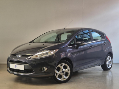 Ford Fiesta 1.25 titanium / 1e eigenaar / stoelverwarming