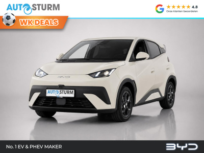 Byd Dolphin Surf boost 43 kwh