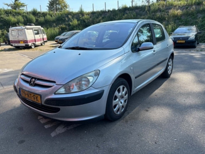 Peugeot 307 1.6-16v xs pack
