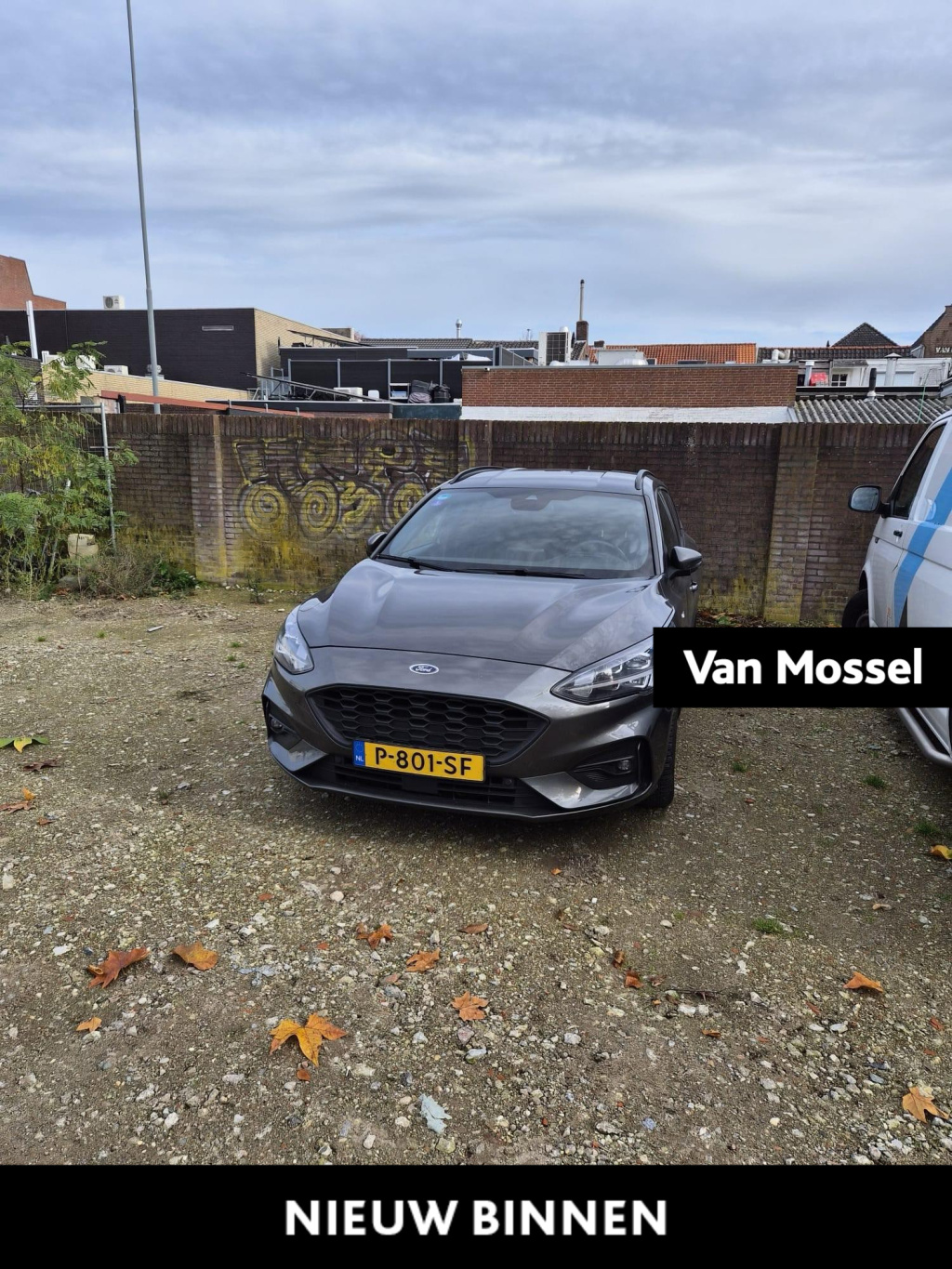 Ford Focus wagon 1.0 ecoboost hybrid st line business winter pack - led koplampen - achteruitrijcamera