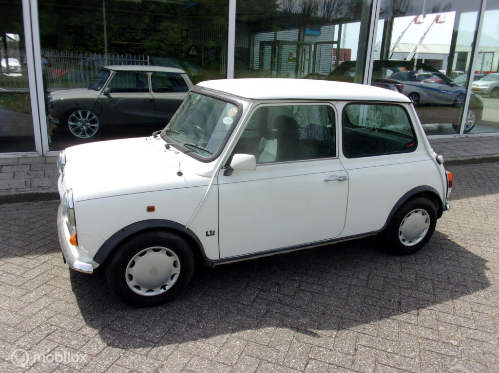 Mini Mini rover 1.3mayfair