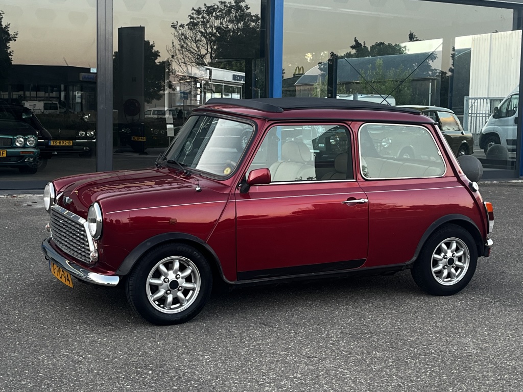 Mini Mini