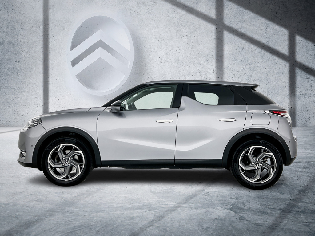 Ds Ds 3