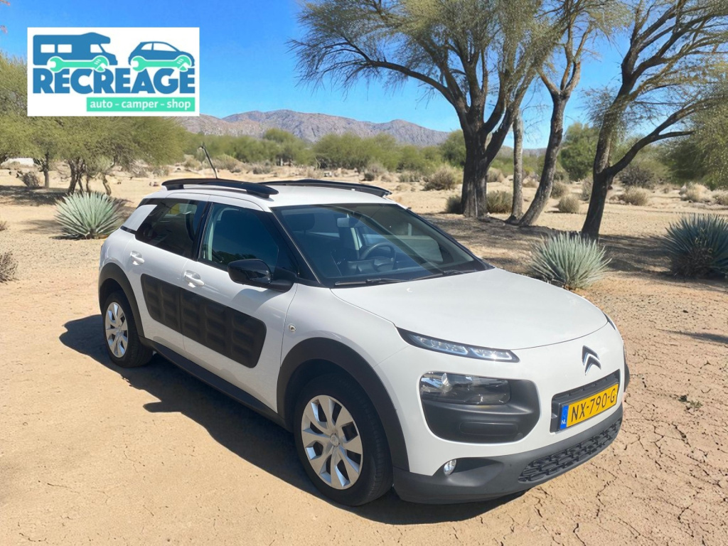 Citroen C4 Cactus