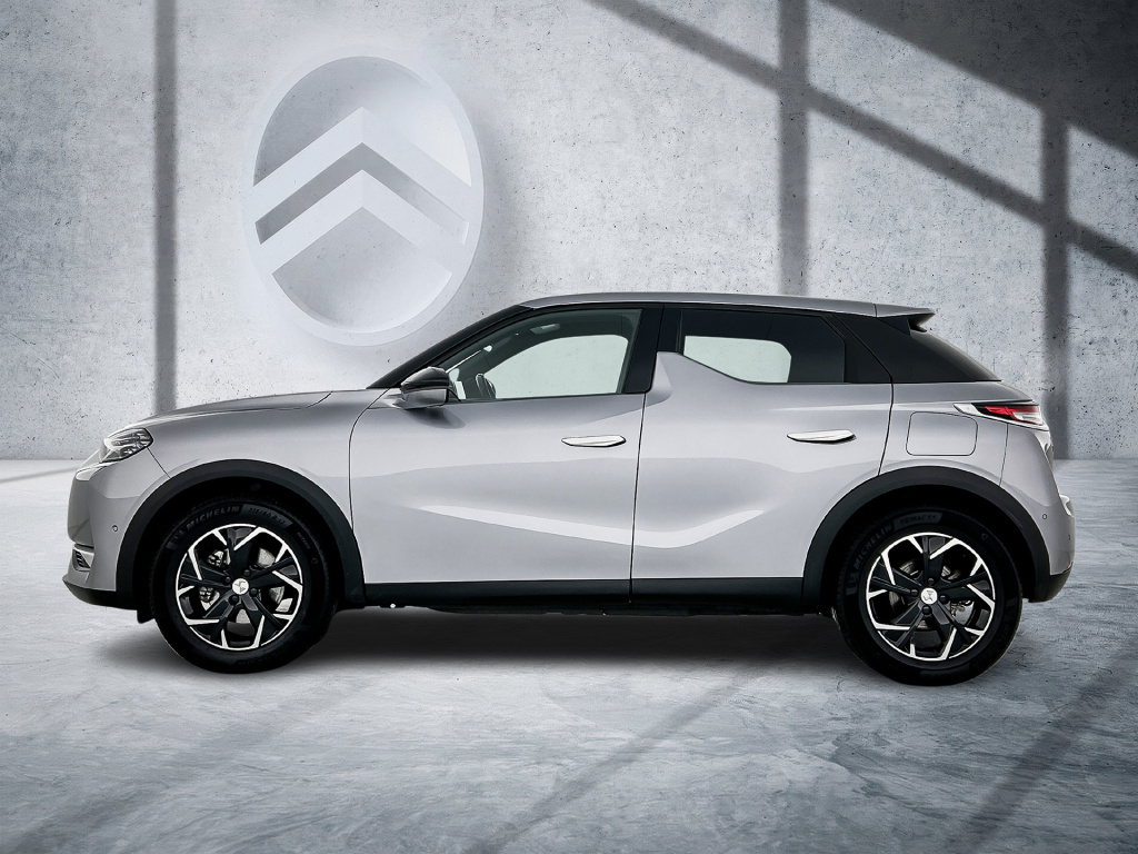 Ds Ds 3