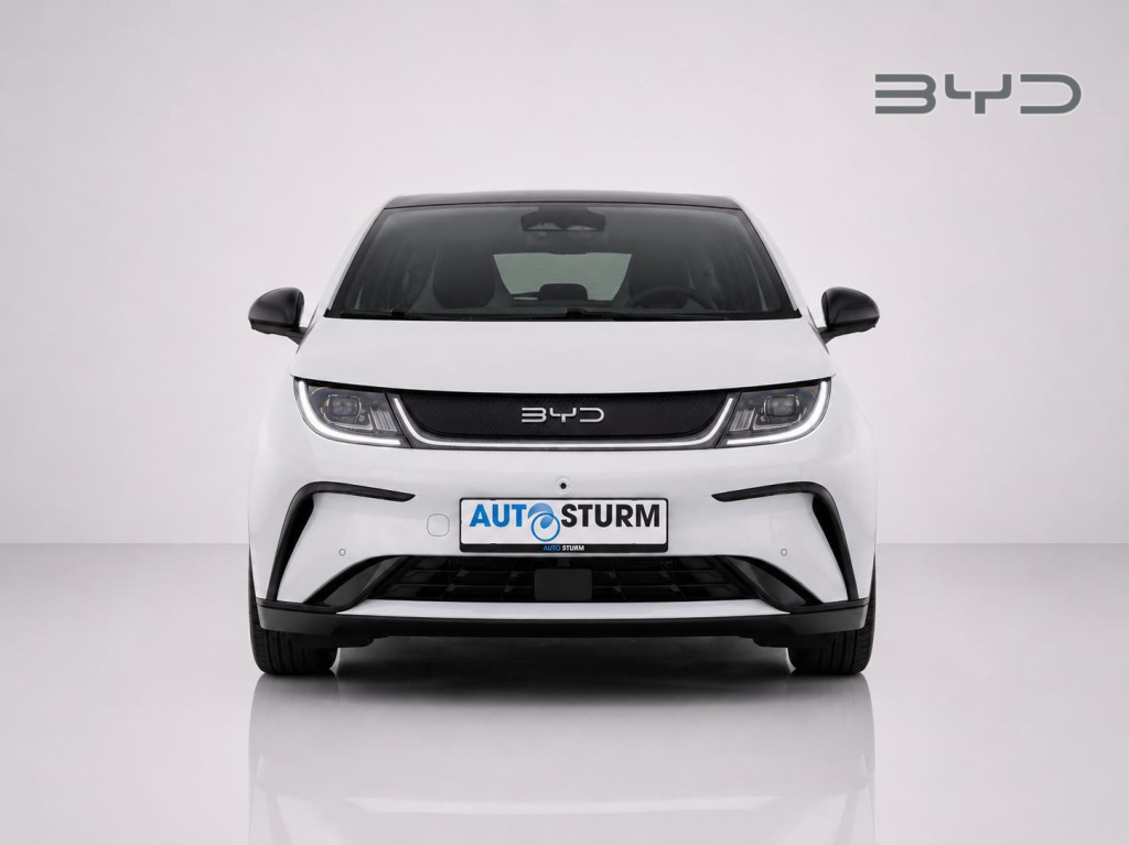 Byd Dolphin