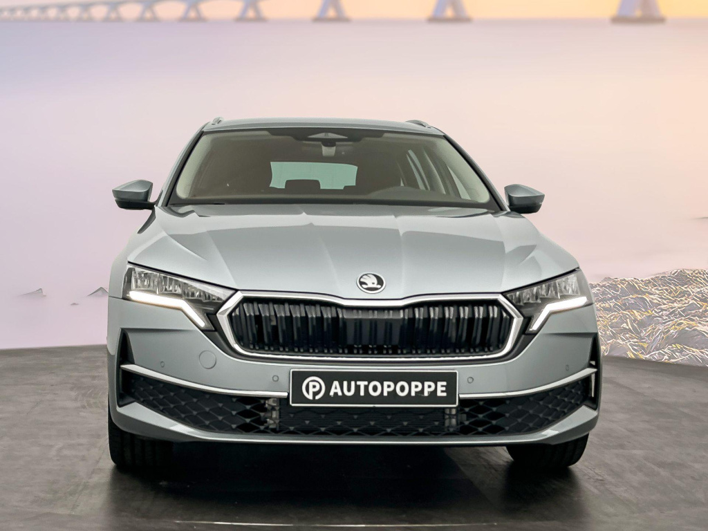 Skoda Onbekend