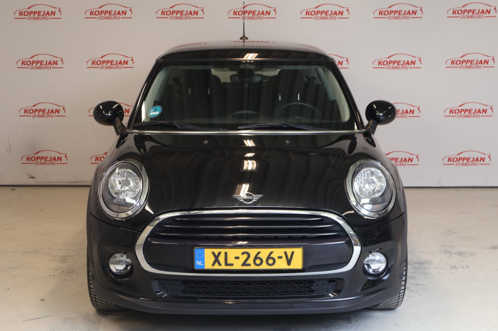 Mini 3-deurs