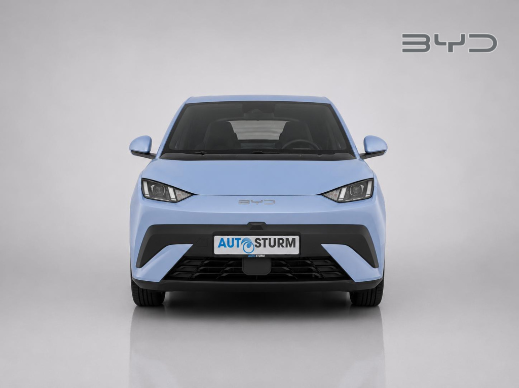 Byd Dolphin Surf