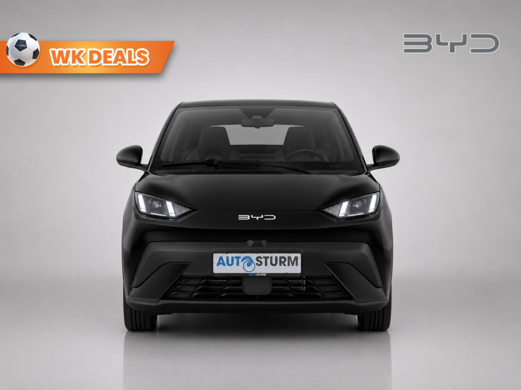 Byd Dolphin Surf