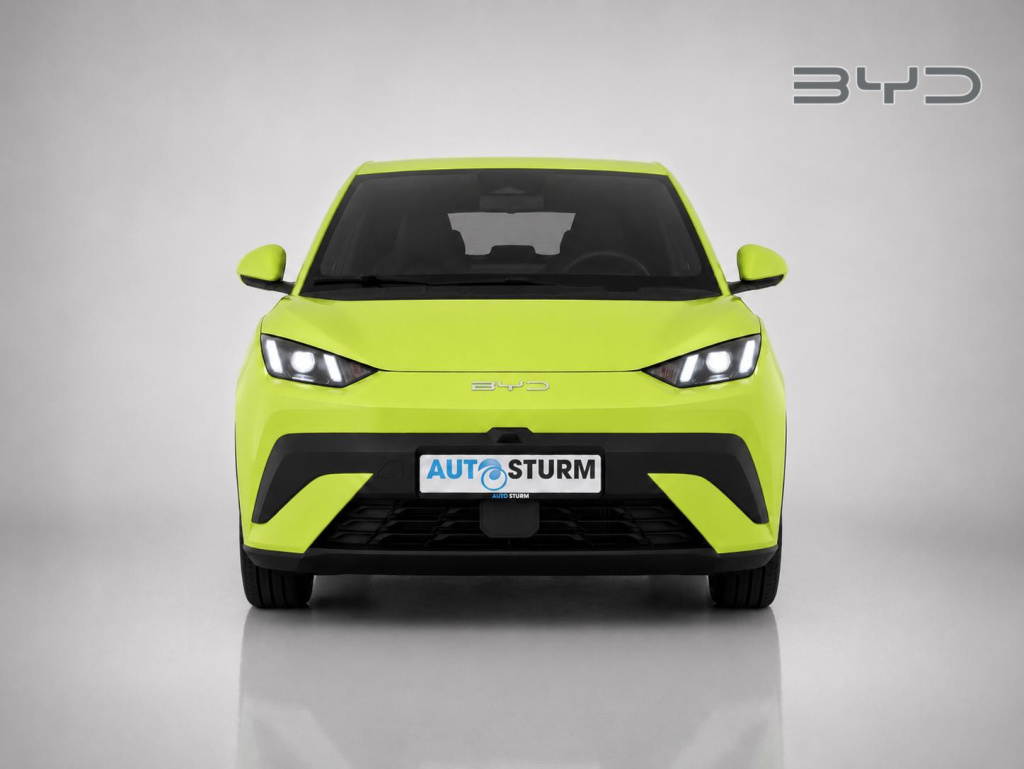 Byd Dolphin Surf