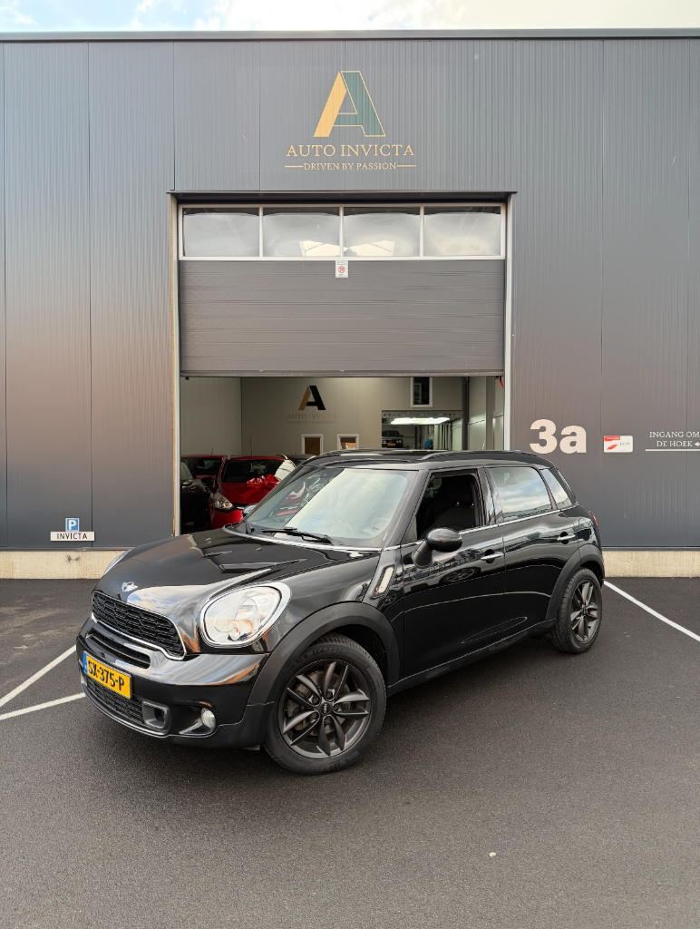 Mini Countryman