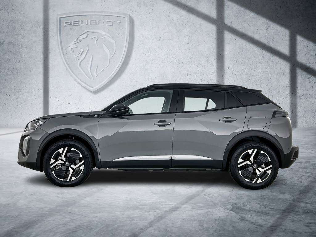 Peugeot E-2008