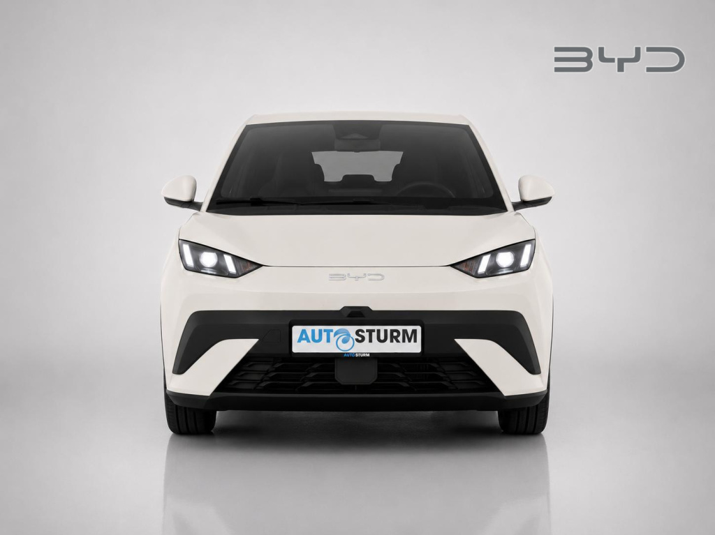Byd Dolphin Surf