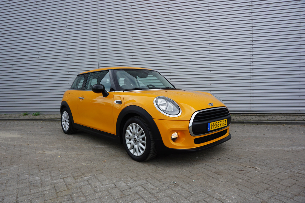 Mini 3-deurs