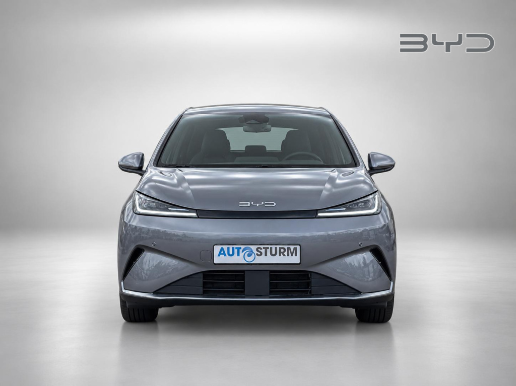 Byd Dolphin