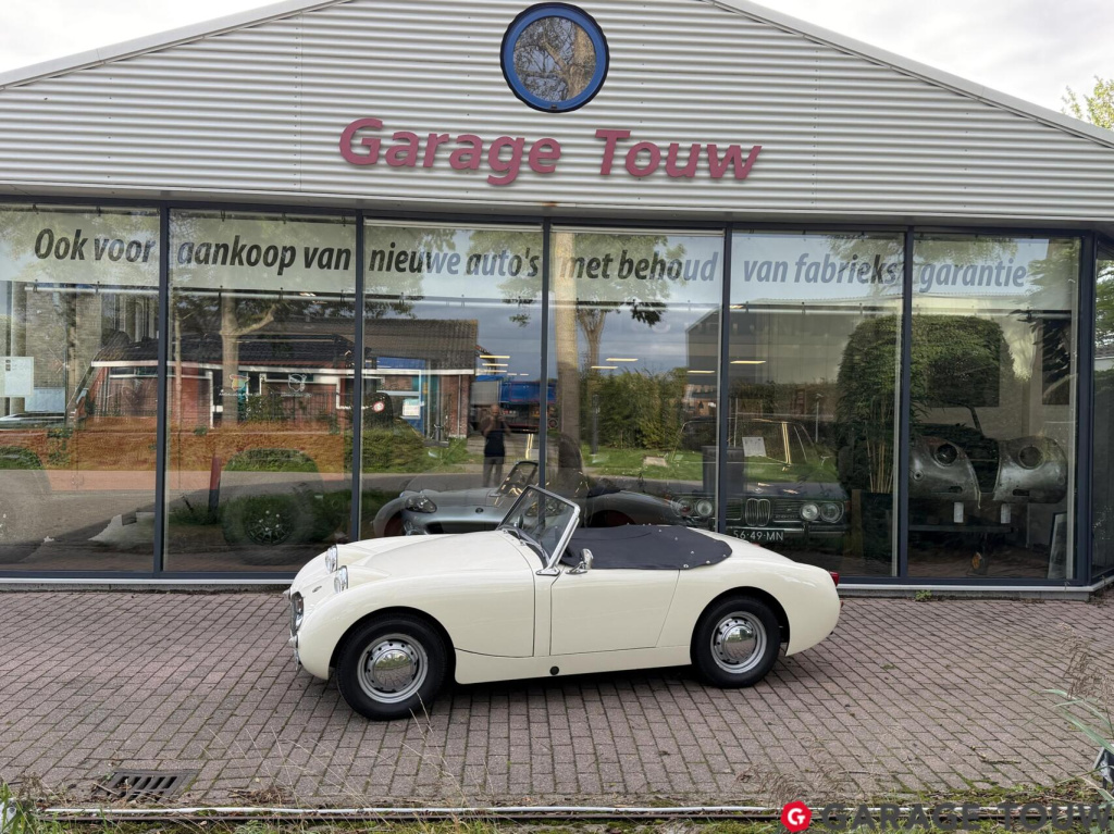 Austin Healey Onbekend