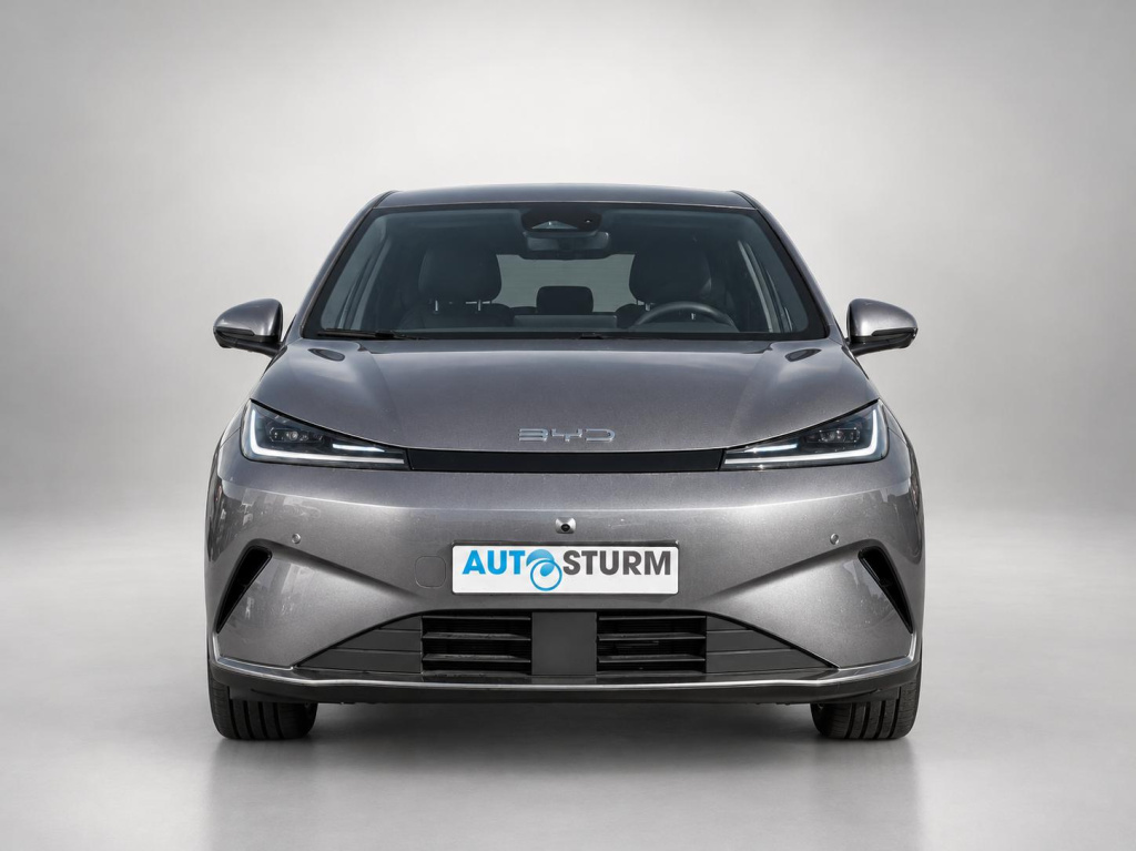 Byd Dolphin