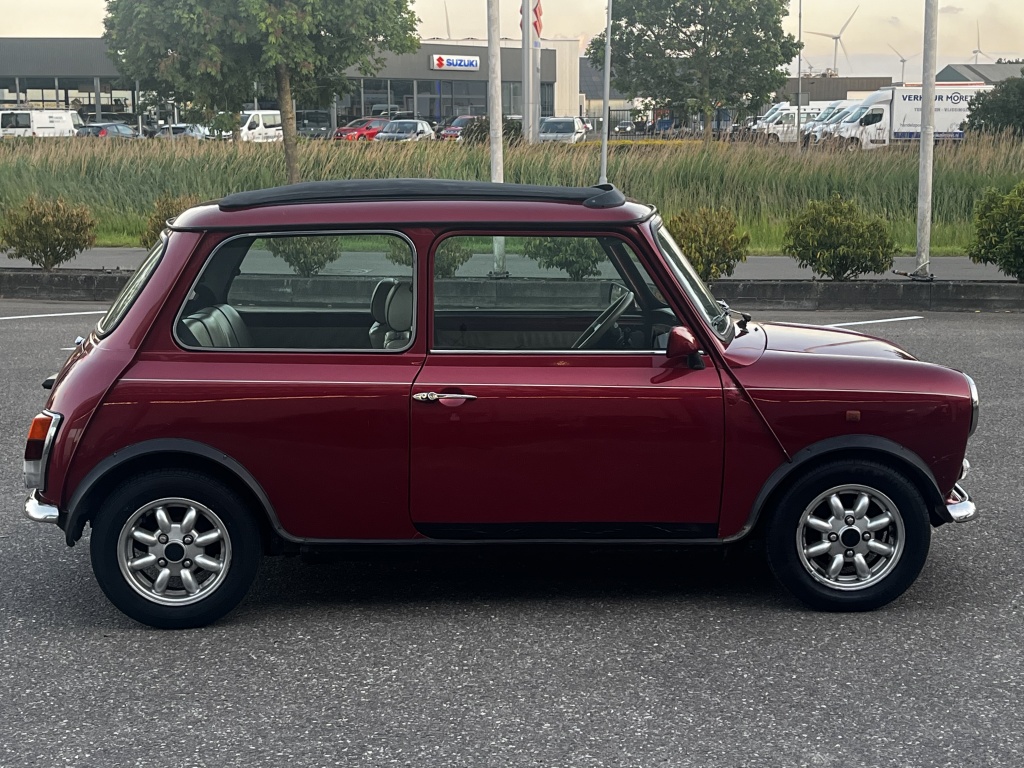 Mini Mini