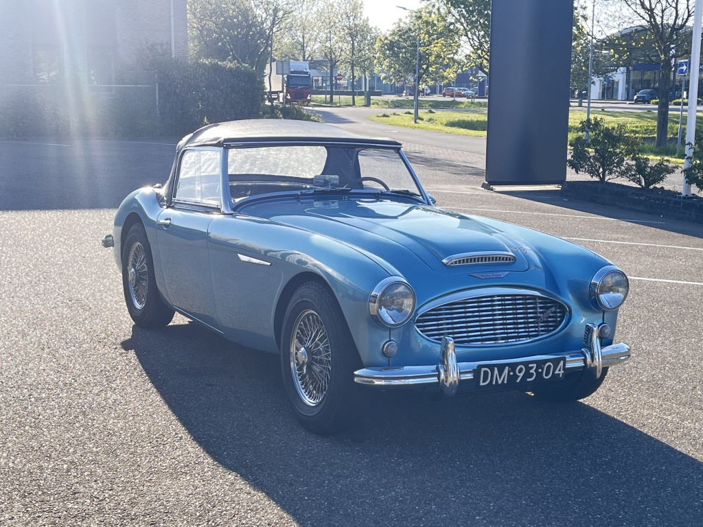 Austin Healey Onbekend