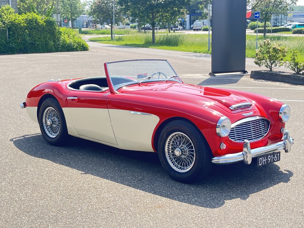 Austin Healey Onbekend