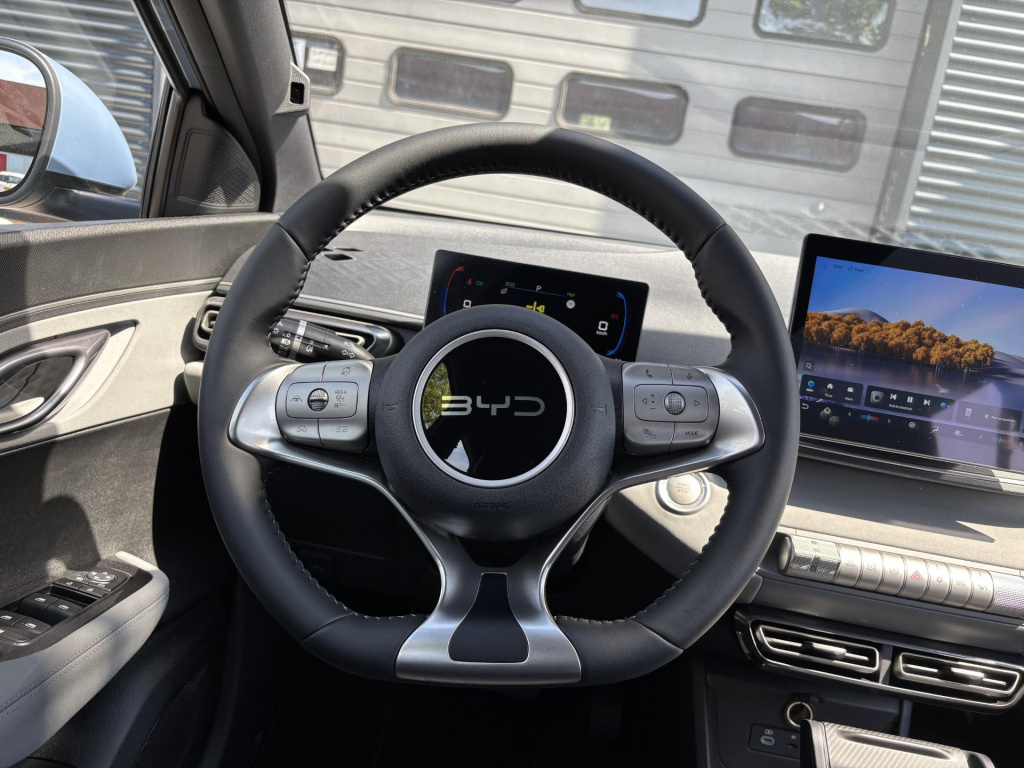 Byd Dolphin Surf
