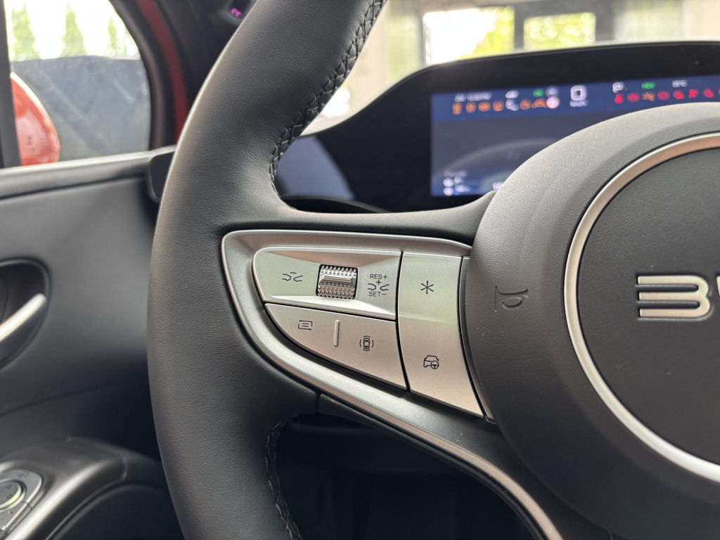 Byd Dolphin