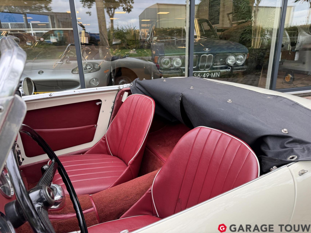 Austin Healey Onbekend