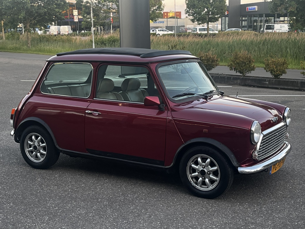 Mini Mini