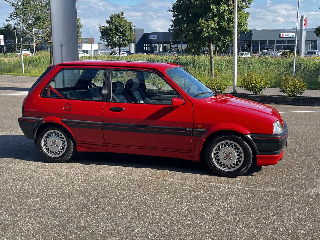 Rover 100