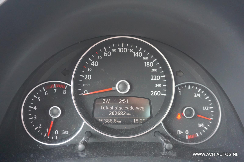 Volkswagen New Beetle