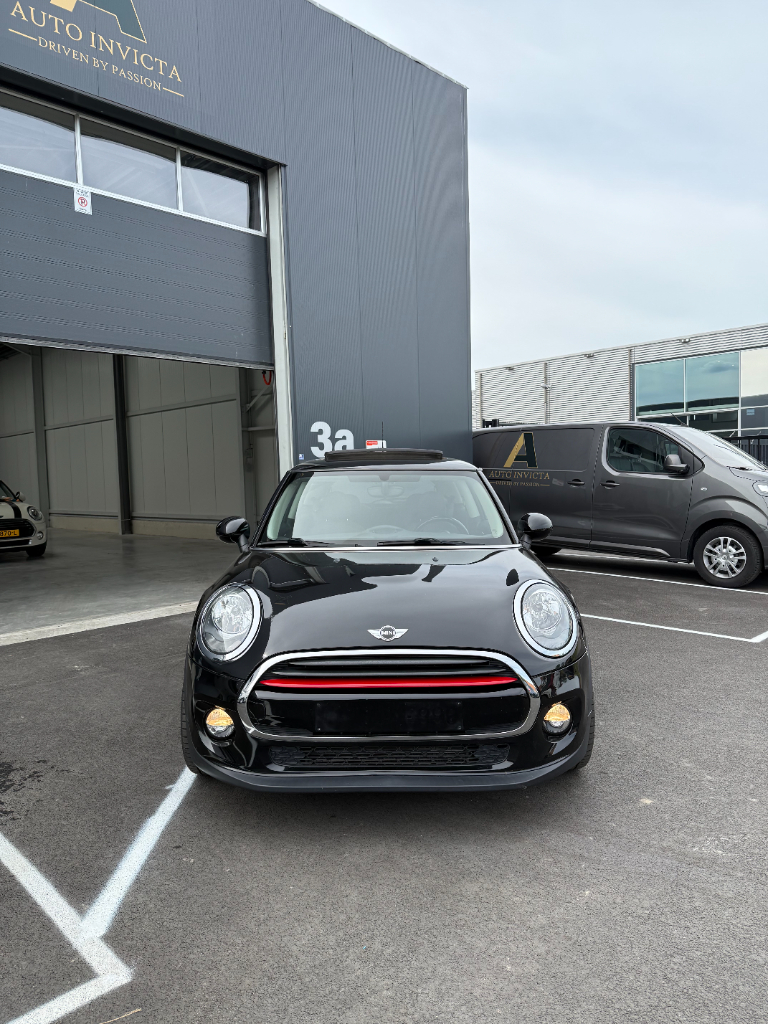 Mini One