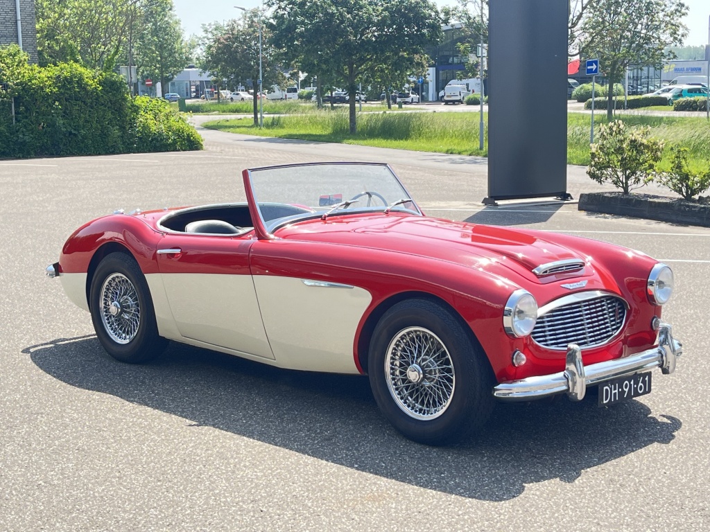 Austin Healey Onbekend