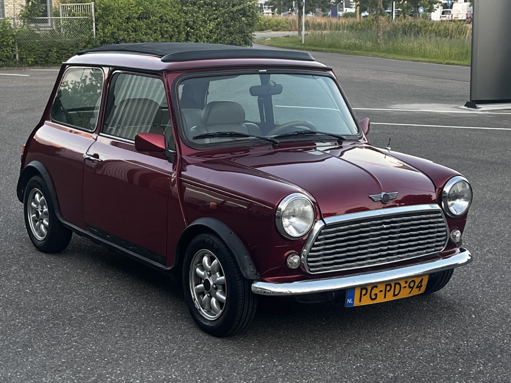 Mini Mini