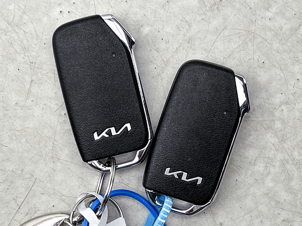 Kia Niro Ev