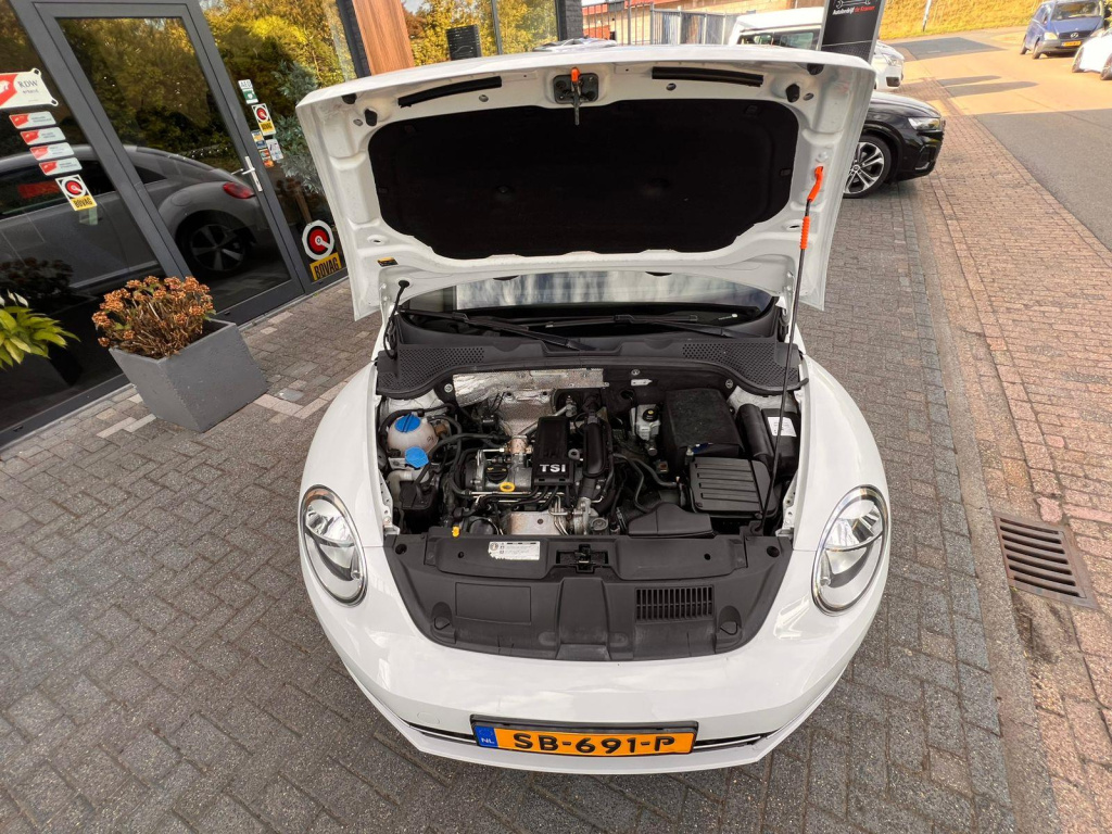 Volkswagen New Beetle