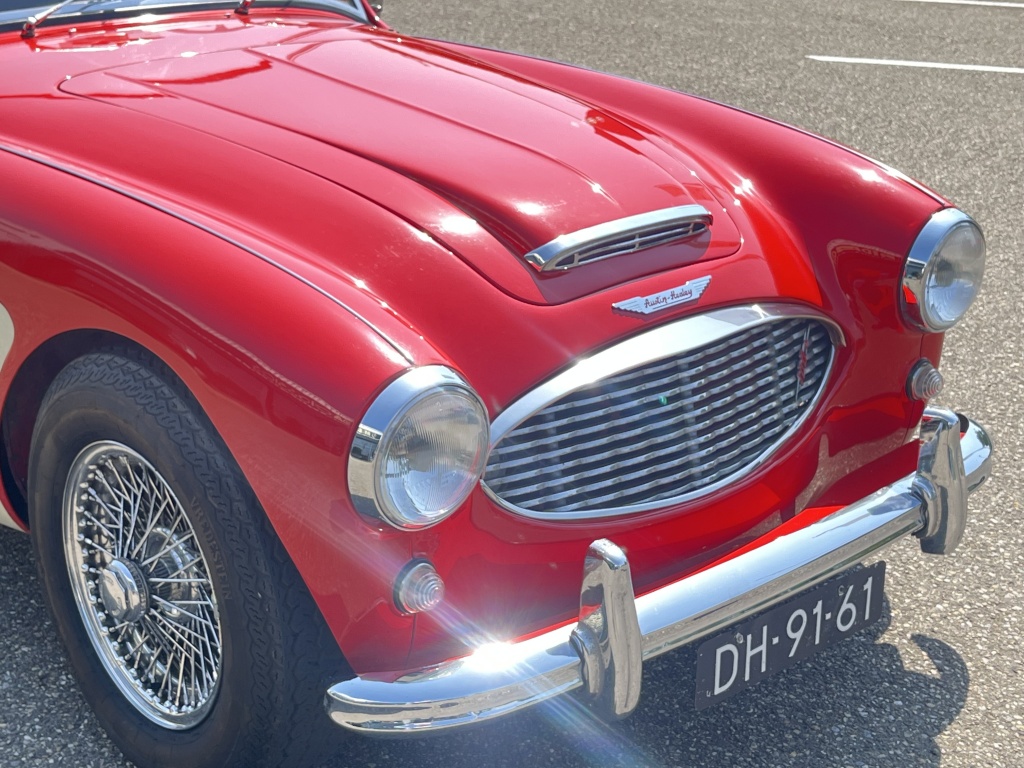 Austin Healey Onbekend