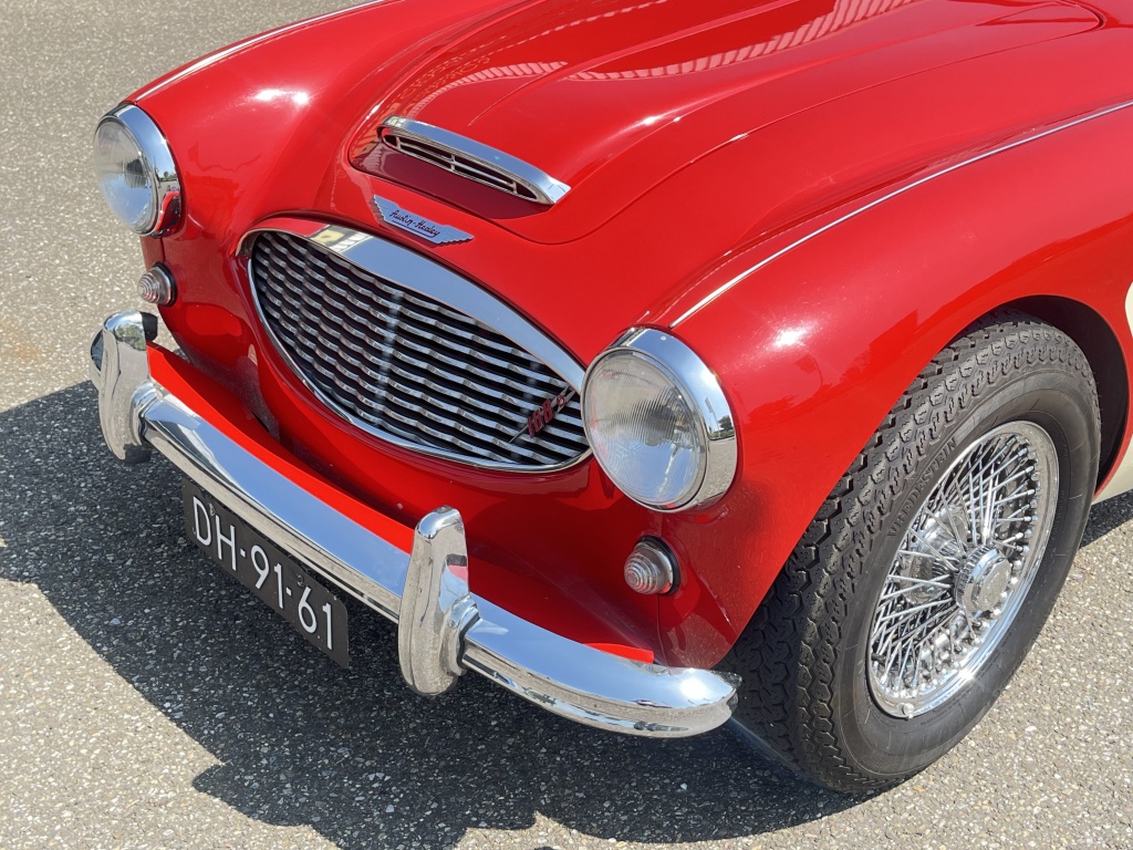 Austin Healey Onbekend