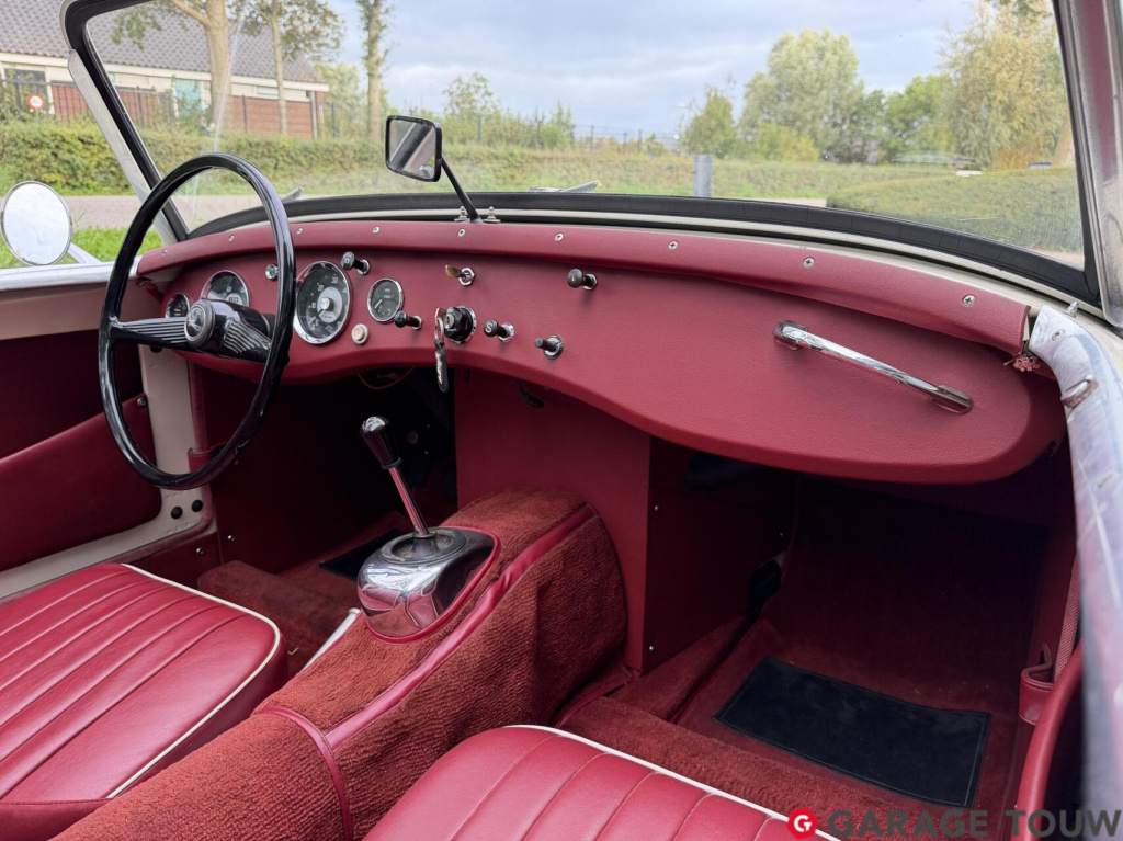 Austin Healey Onbekend