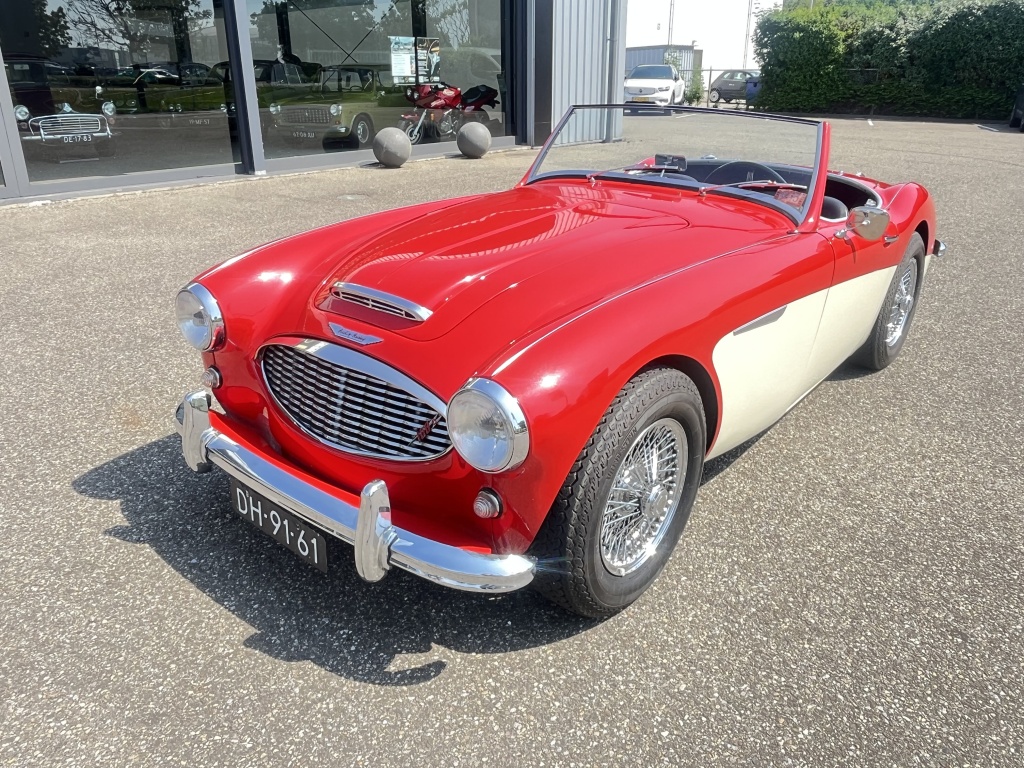 Austin Healey Onbekend