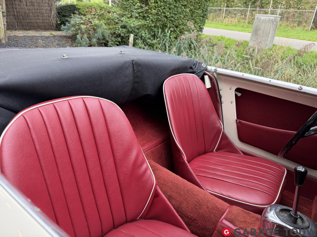 Austin Healey Onbekend