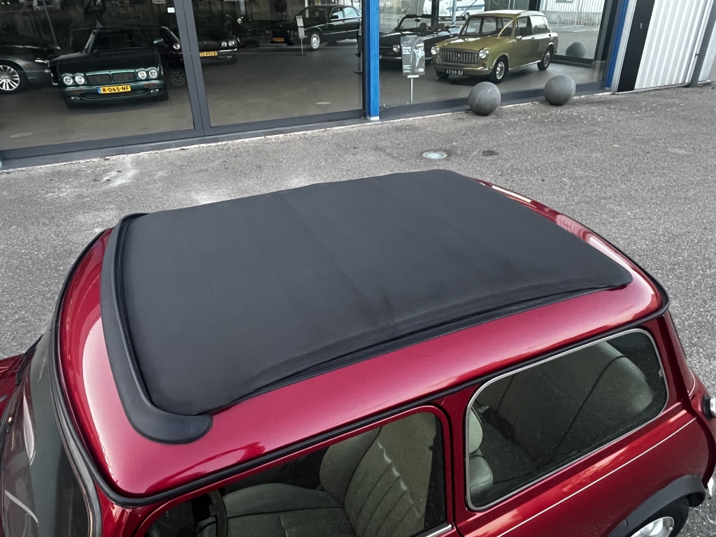 Mini Mini