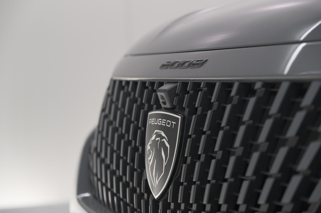 Peugeot E-2008