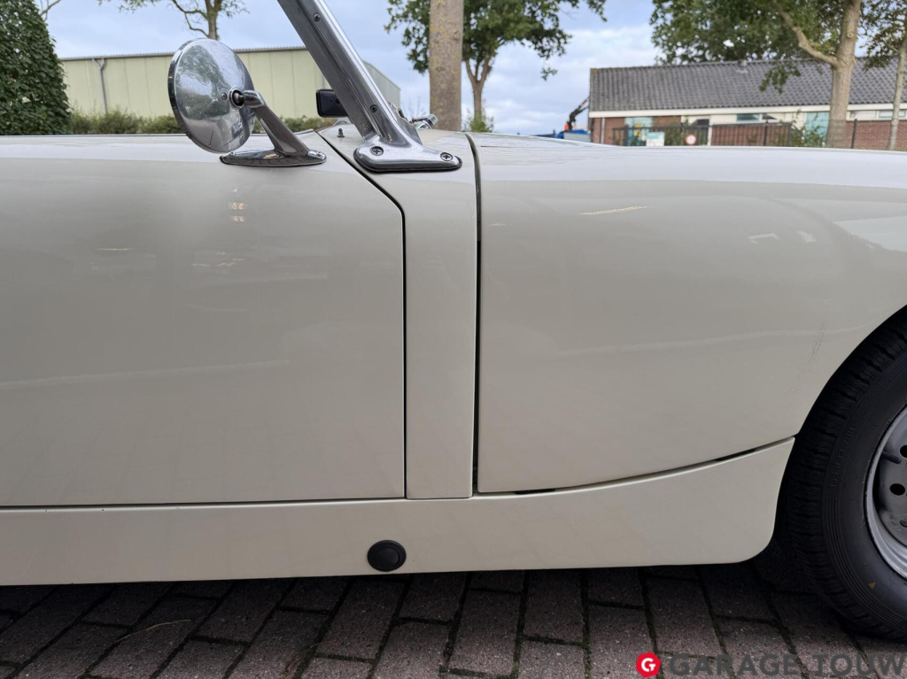 Austin Healey Onbekend
