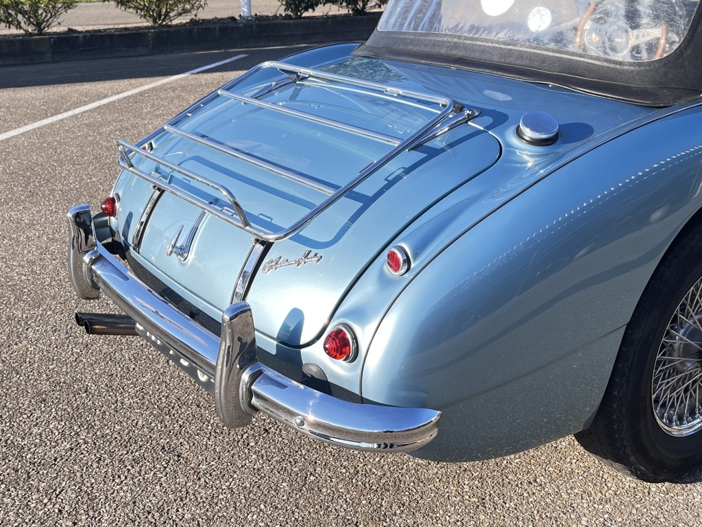 Austin Healey Onbekend