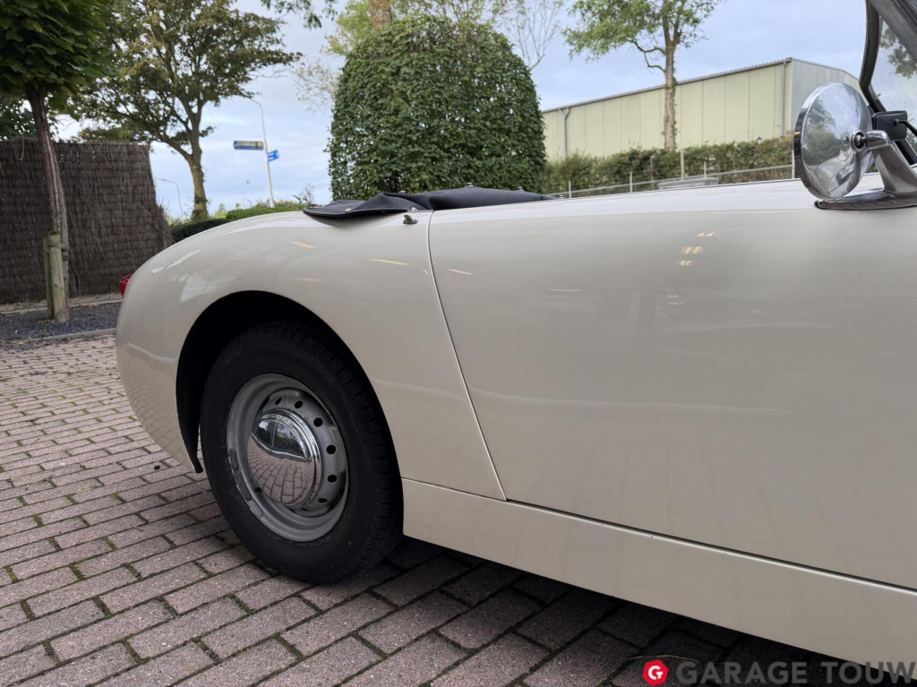 Austin Healey Onbekend