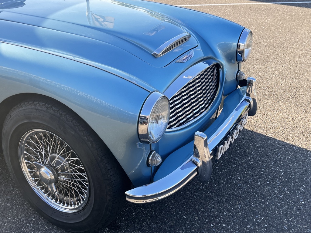Austin Healey Onbekend